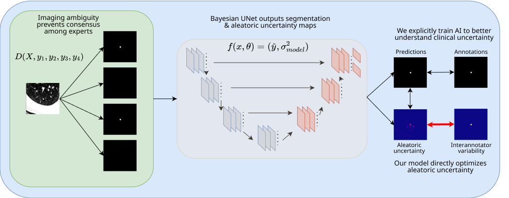Given dataset with inherent inter-annotator disagreement, we obtain aleatoric uncertainty maps from the Bayesian UNet, analyze their relationship with inter-annotator variance, and present a new loss function that aligns these - leading to more unvertainty aware diagnoses